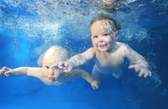 The University of California - Berkeley