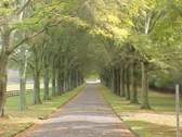 Berry College