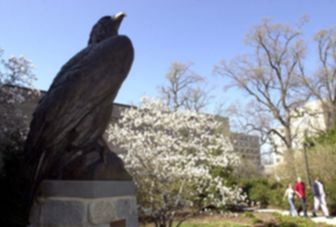 American University